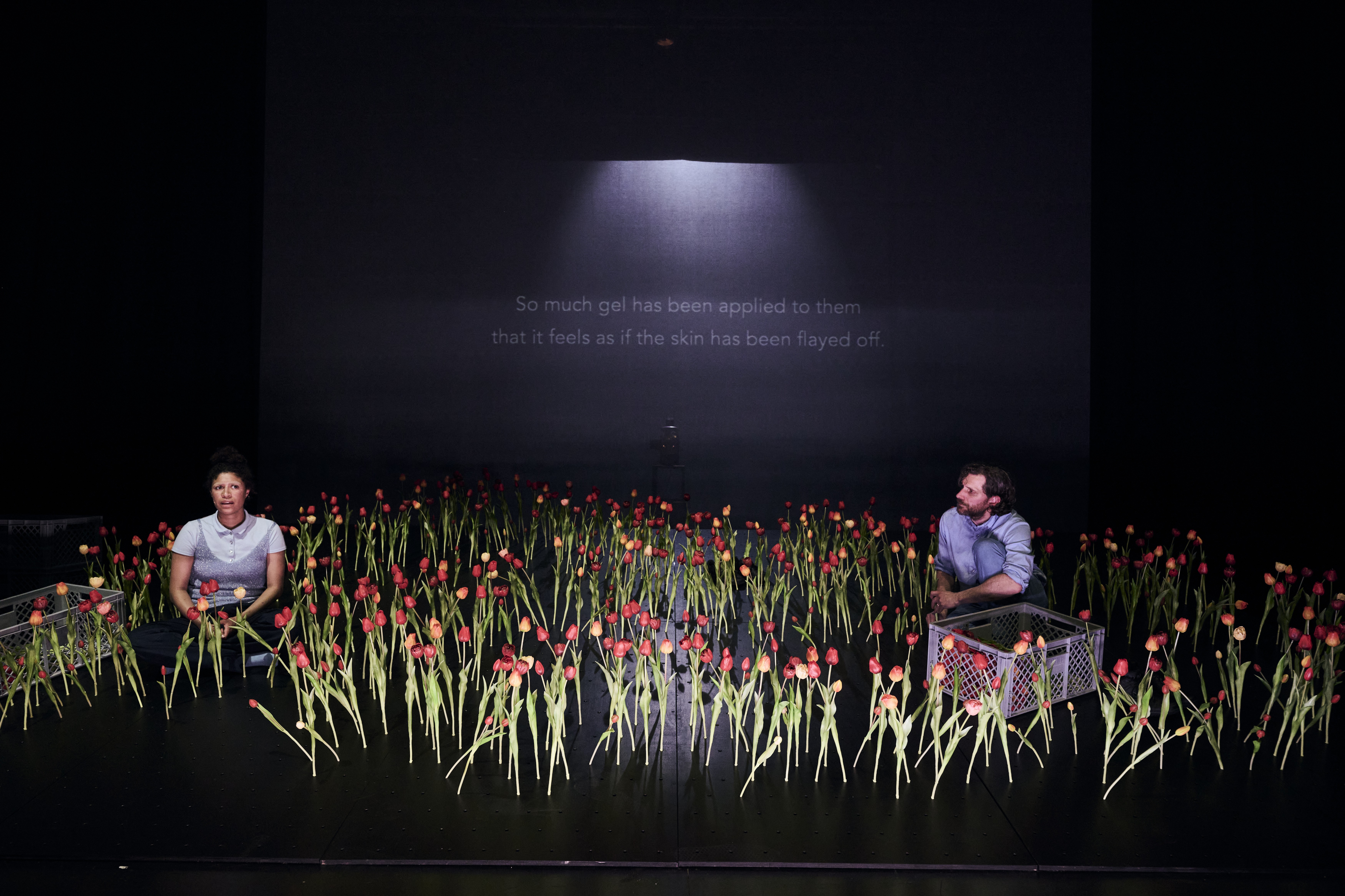 Das Bild ist dunkel gehalten. Zwei Menschen sitzen am Boden inmitten von sehr vielen roten Tulpen. Im Hintergrund hat es eine Projektion mit Text.