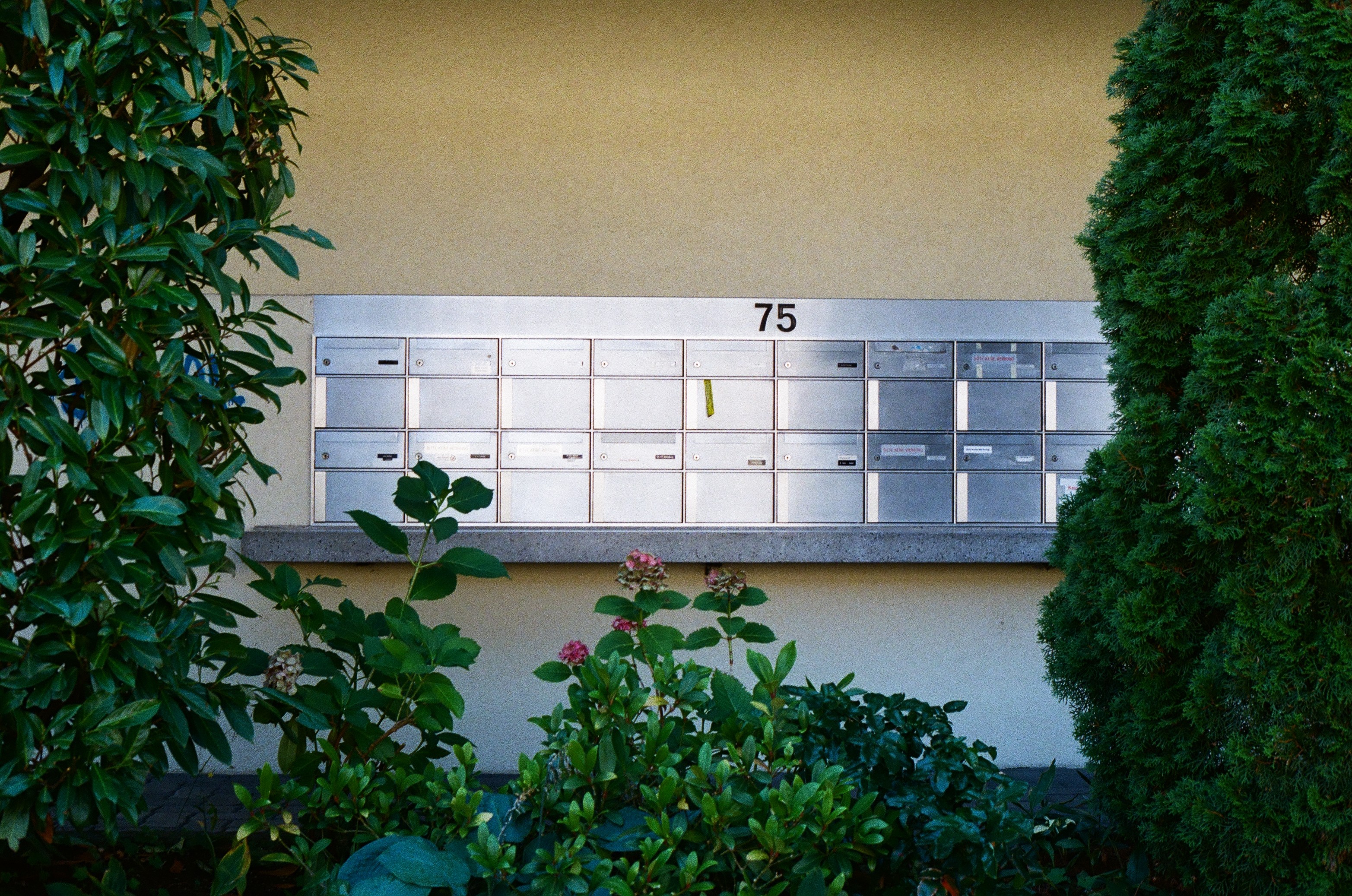 Viele Briefkasten an einer Hauswand, umgeben von Grünpflanzen. © Nathalie Jufer