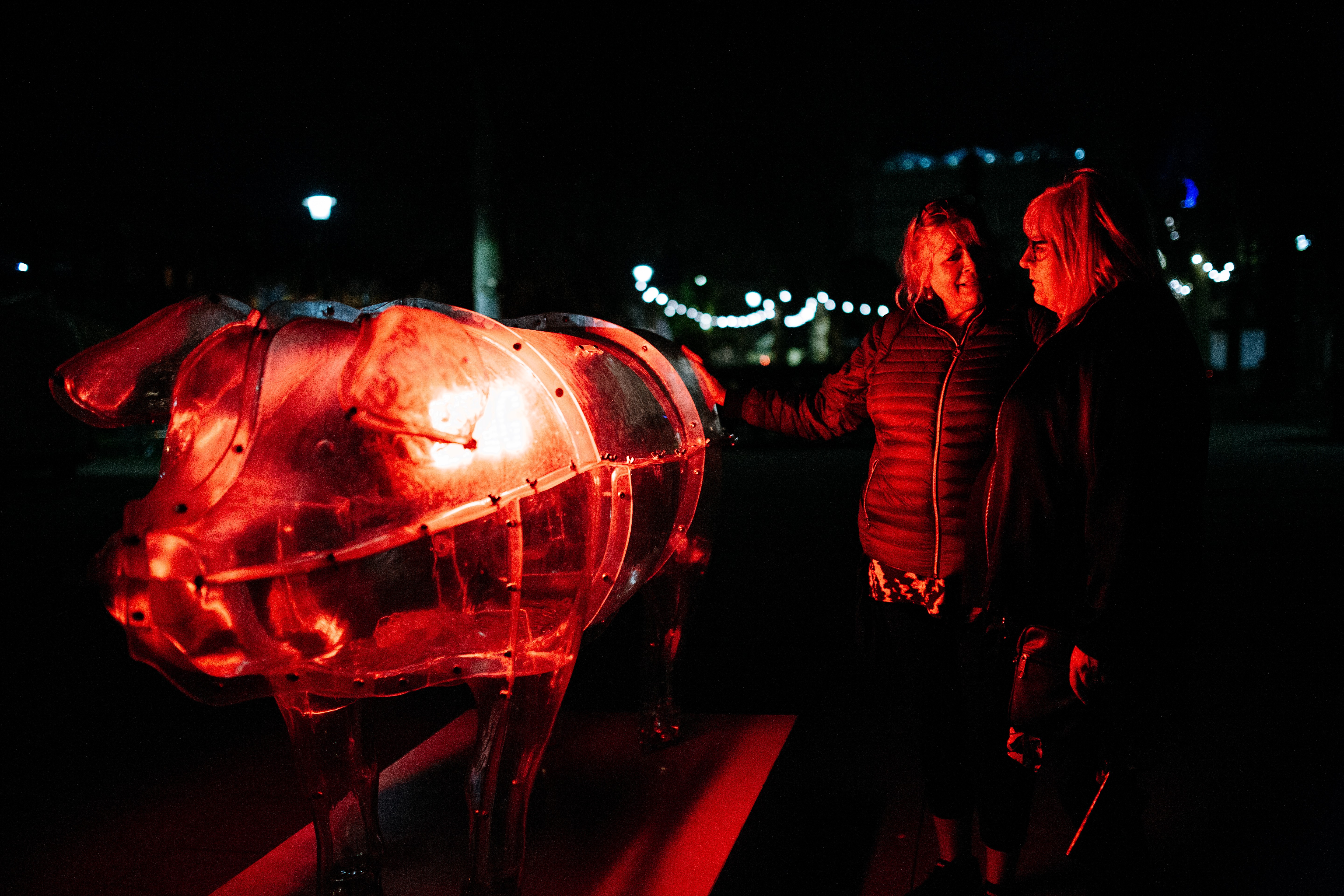 Nächtliche Stimmung. Im Vordergrund steht ein grosses durchsichtiges Schwein auf einem Sockel, im Innern ist es rot beleuchtet. Rechts vom Schwein stehen zwei Personen und unterhalten sich, eine Person legt dabei eine Hand auf das Schwein.